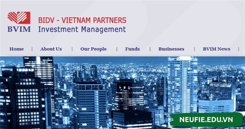 BVIM - Công Ty Cổ Phần Quản Lý Quỹ BVIM