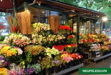 Vận hành và quản lý cửa hàng hoa tươi