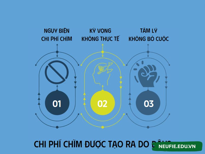 Nguyên nhân nào tạo ra chi phí chìm?