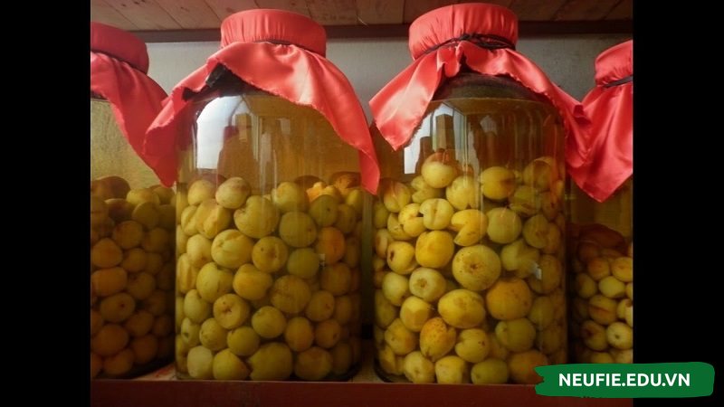 Rượu táo mèo đã quá quen thuộc với người dân Việt Nam