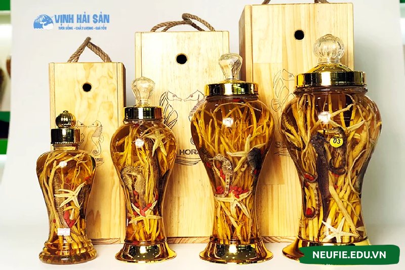 Rượu cá ngựa có khả năng điều trị các bệnh về đường tiết niệu