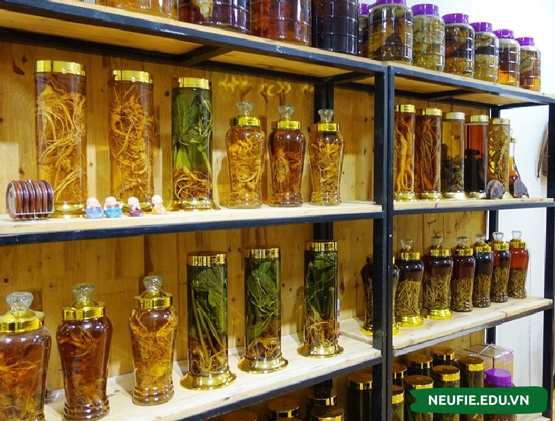Mở cửa hàng kinh doanh rượu ngâm cần 50 - 500 triệu tuỳ quy mô