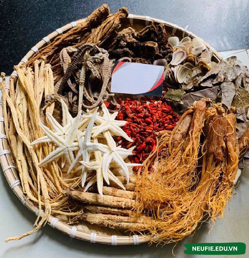 Nên chọn mua nguyên liệu ngâm rượu uy tín