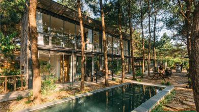 Villa ẩn mình trong khu rừng mát mẻ, yên tĩnh
