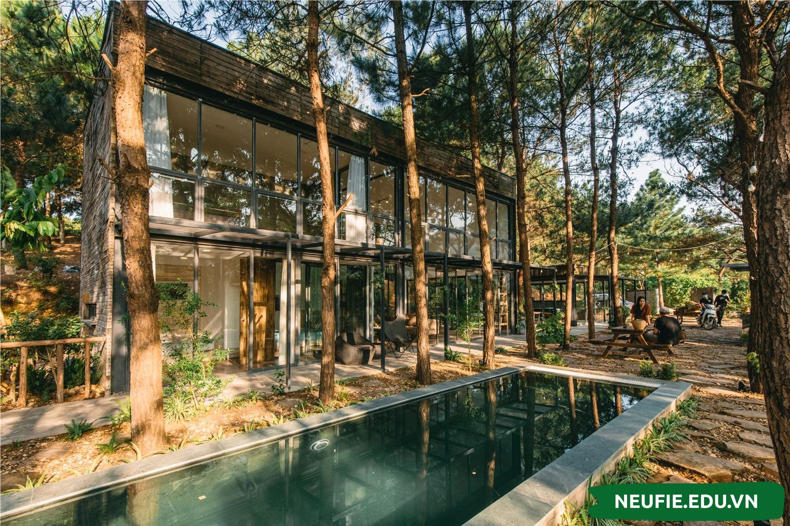 Villa ẩn mình trong khu rừng mát mẻ, yên tĩnh