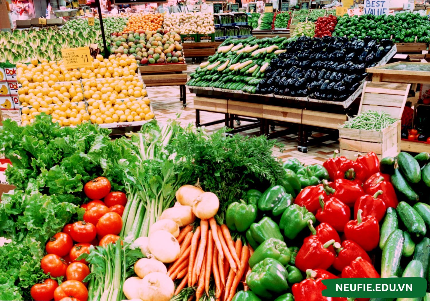 Khởi nghiệp từ nông sản sạch - tưởng không lãi mà lãi không tưởng